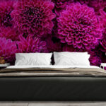 Pink Magenta Dahlias Flower Wallpaper