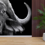 African buffalo