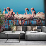 African flamingos