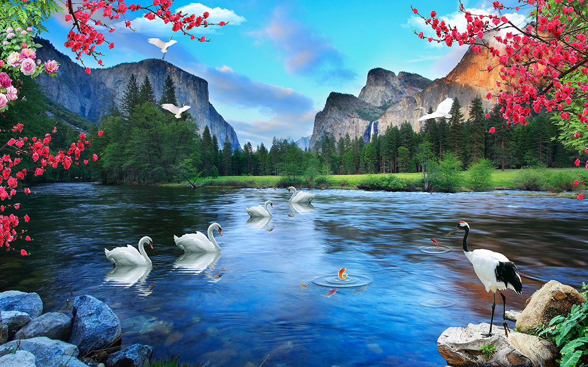 A group of swans in a lake