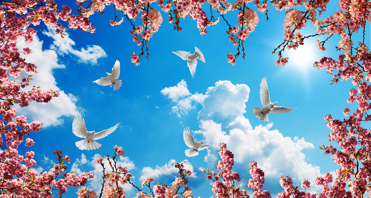 A group of white birds flying in the sky with pink flowers
