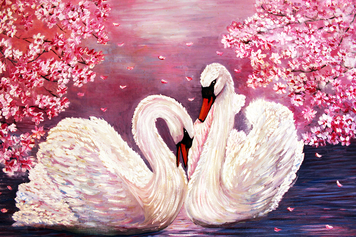 Two swans in a lake