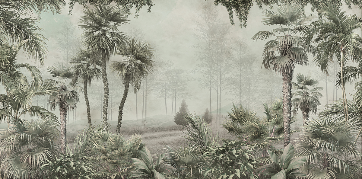 A foggy forest with palm trees