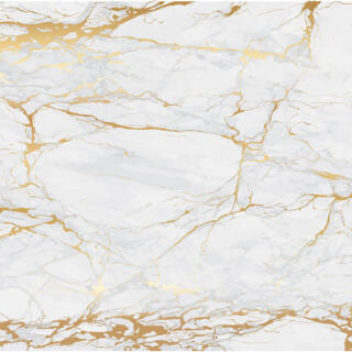 White Marble with Gold Veins