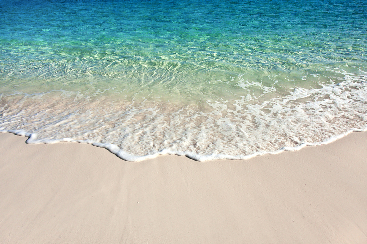 A wave of water on a beach