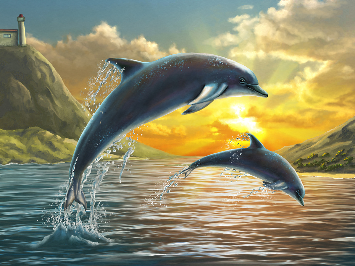 Dolphins jumping out of water