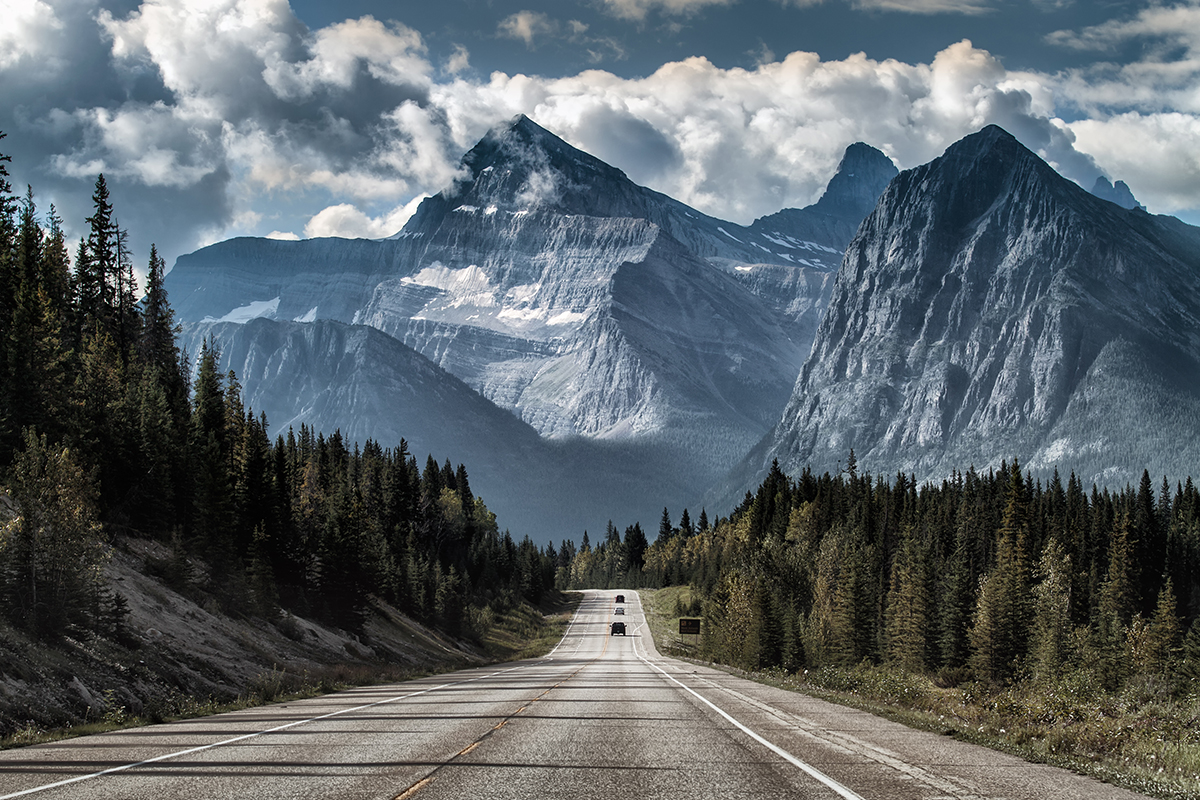 A road with trees and mountains in the background