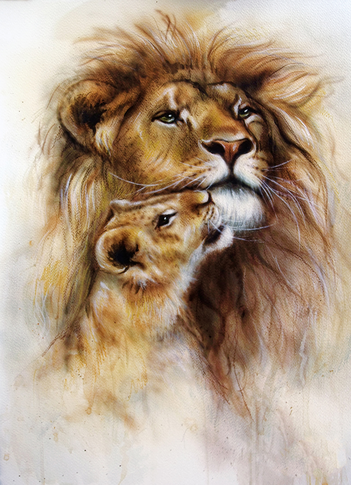 A lion and a tiger