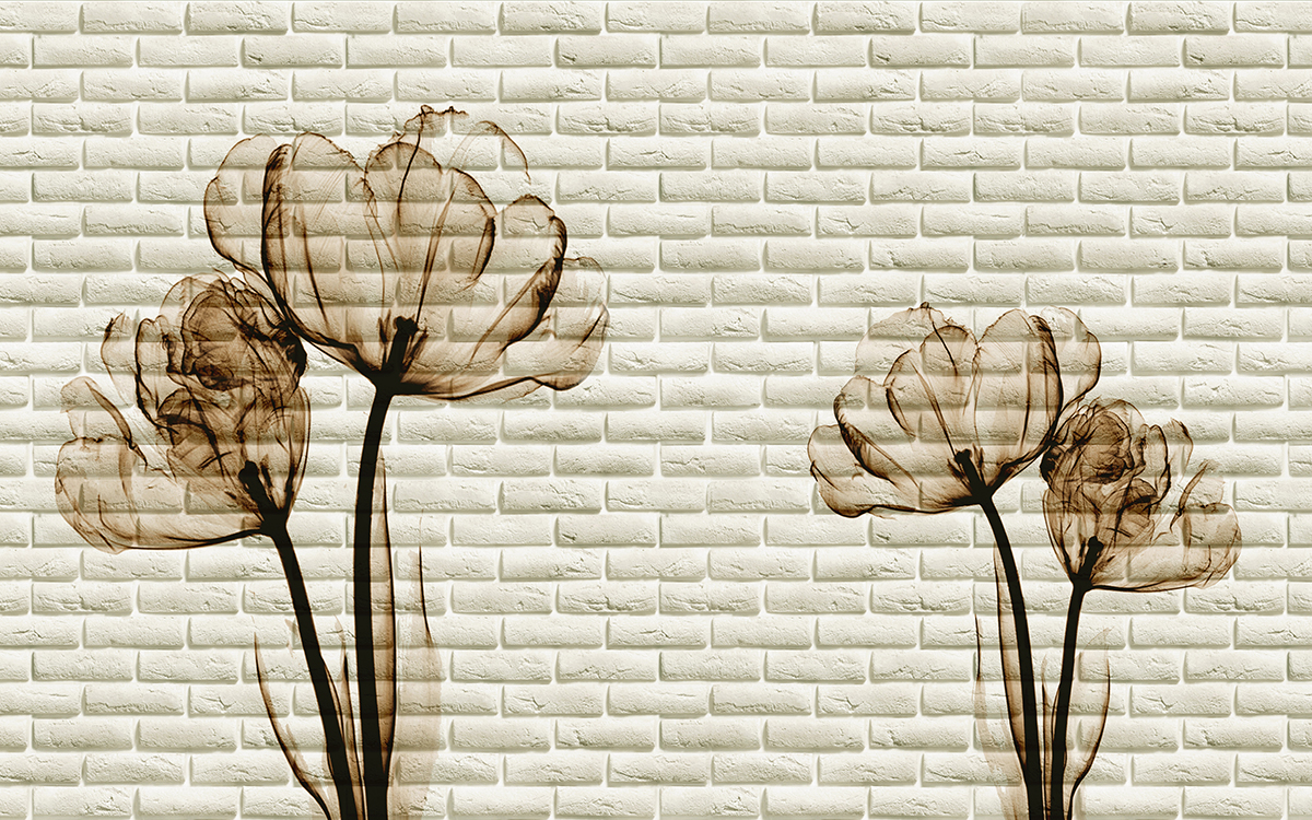 A flower on a brick wall