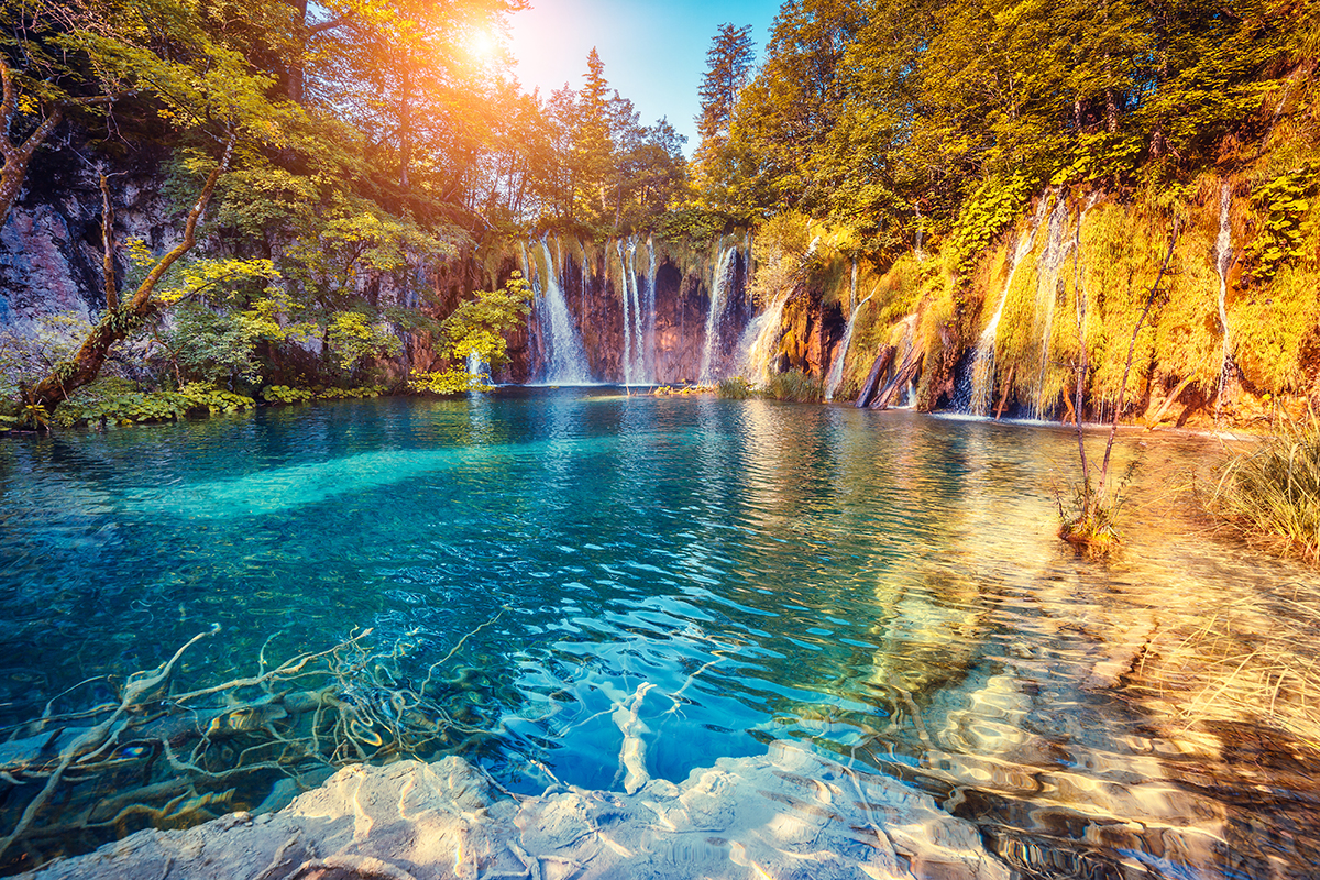 A waterfall in a forest