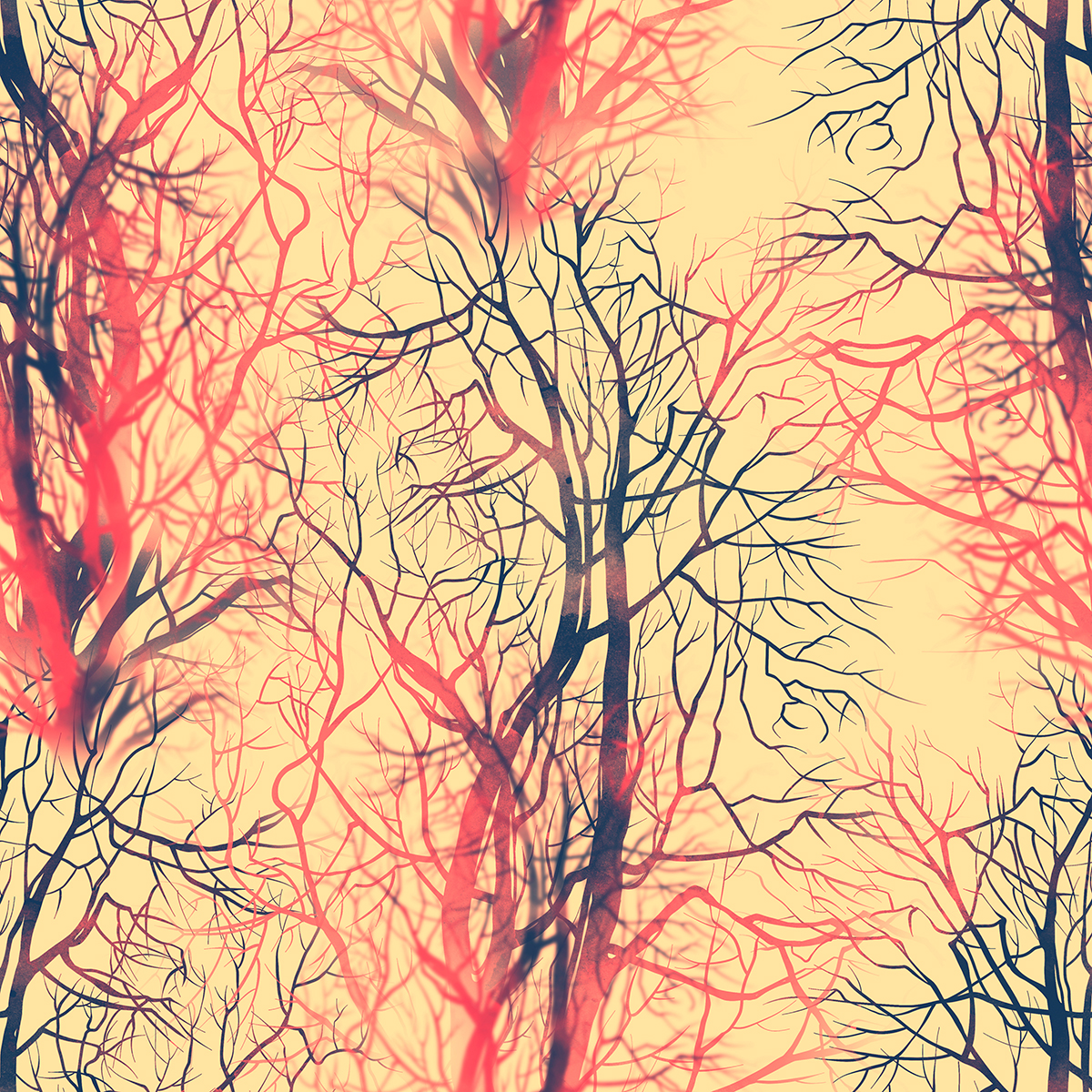 A pattern of bare trees