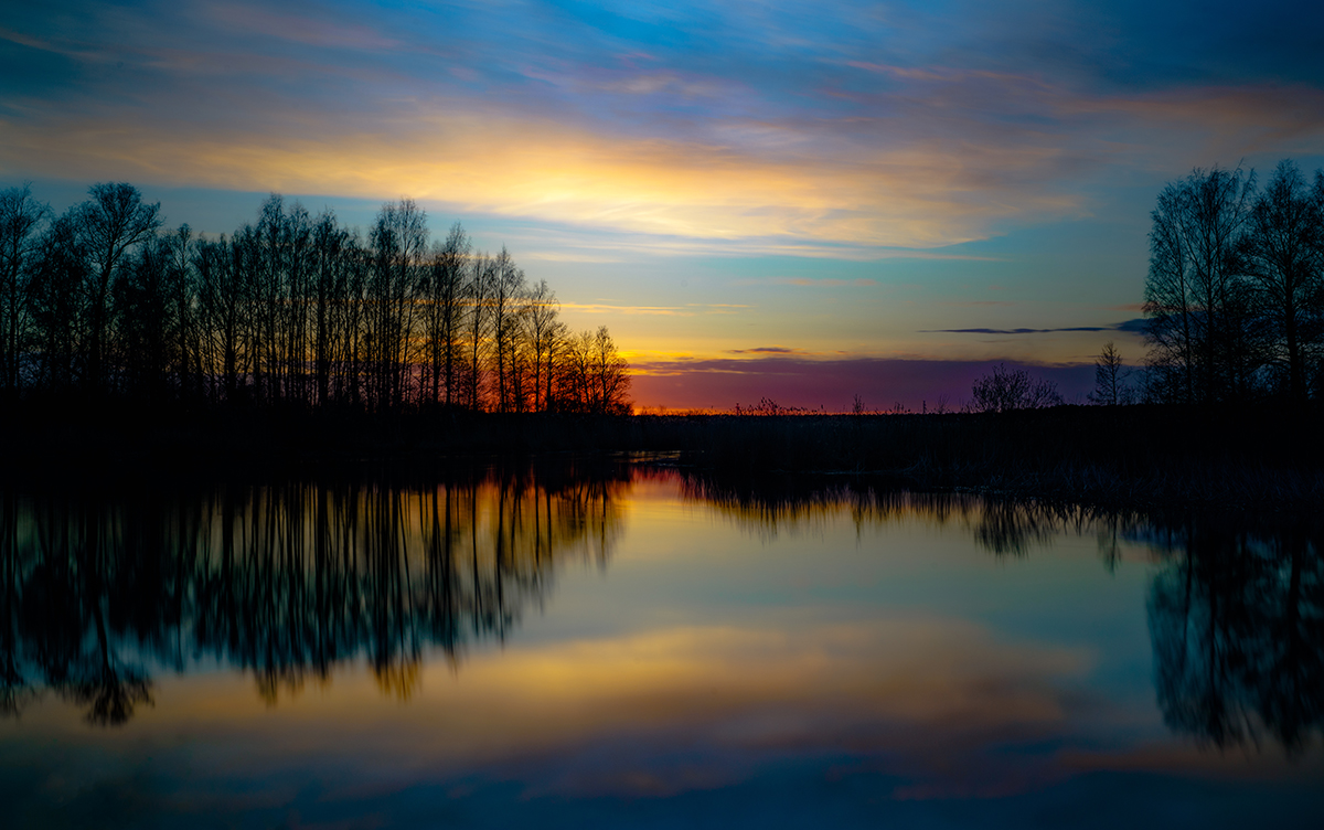 A body of water with trees and a sunset