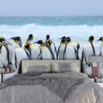 A group of penguins on a beach