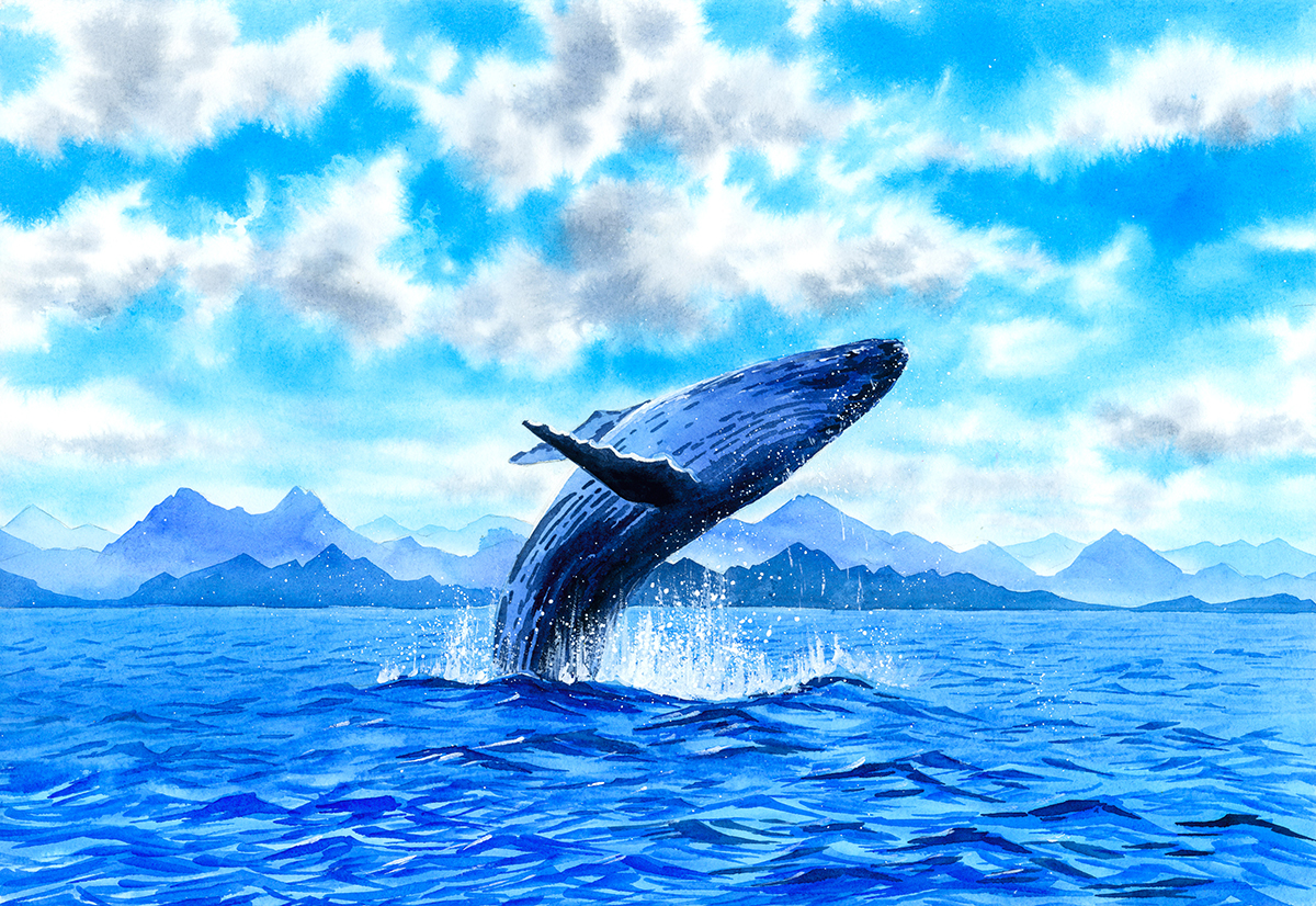 A whale jumping out of the water