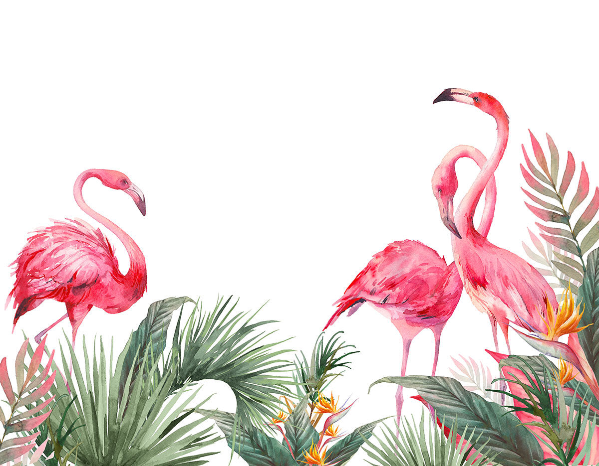 A group of flamingos and tropical plants