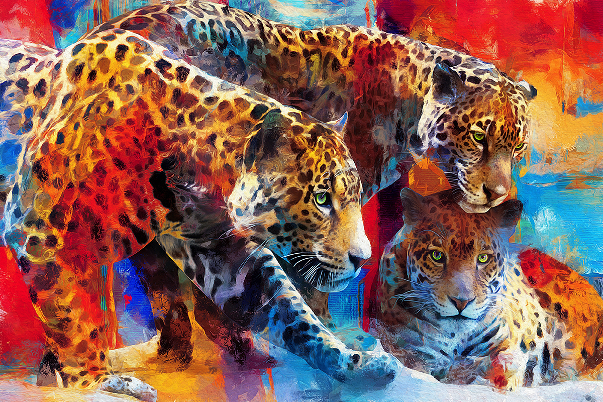 A group of leopards with different colors
