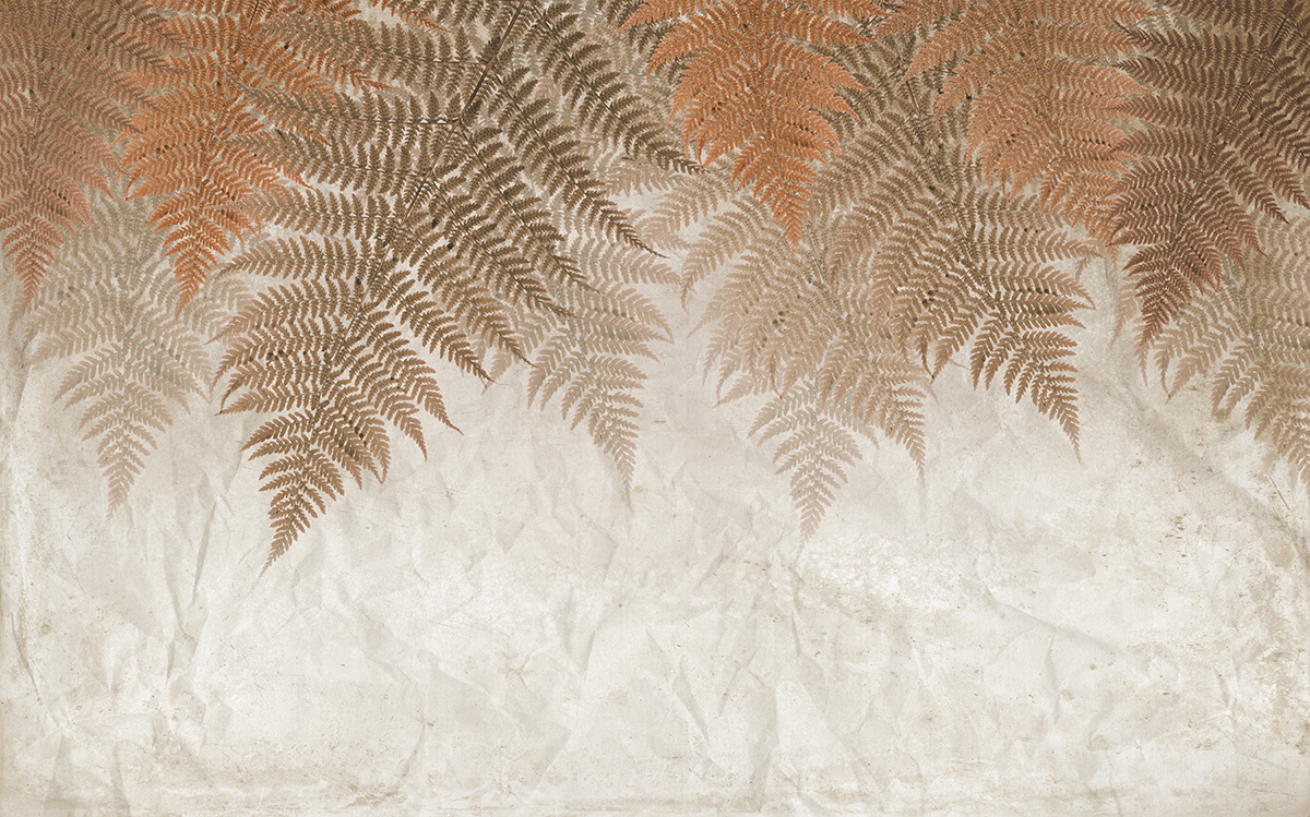 A brown and white fern leaves