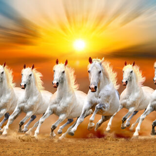7 Horse Wallpaper For Wall