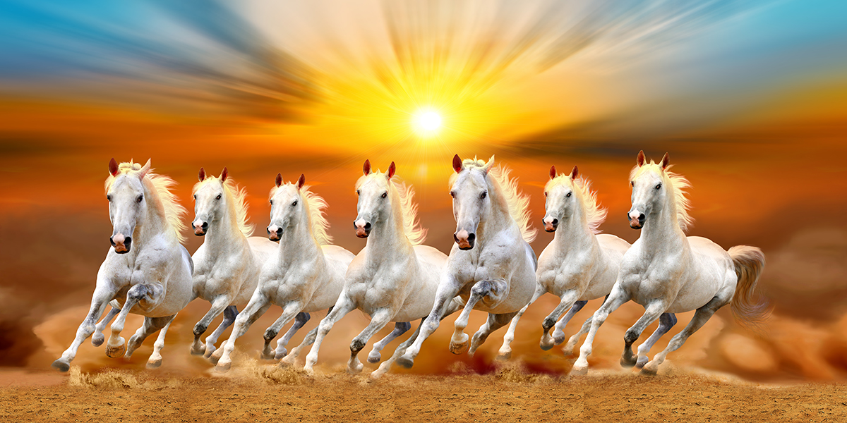 7 Horse Wallpaper For Wall