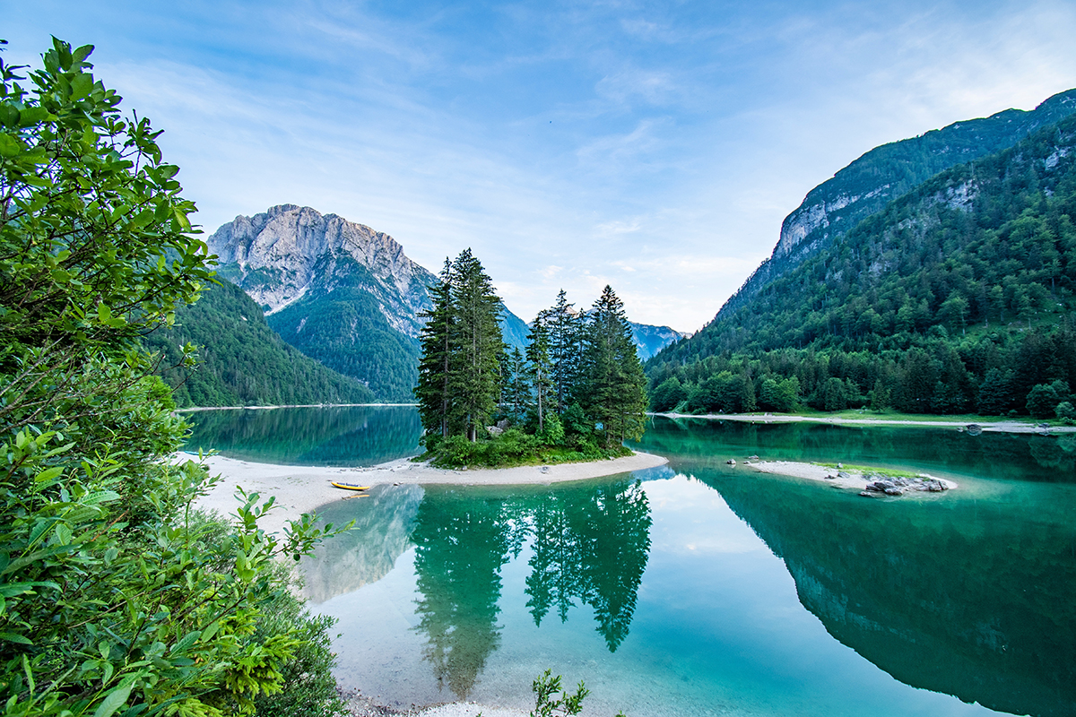 A small island with trees in the water