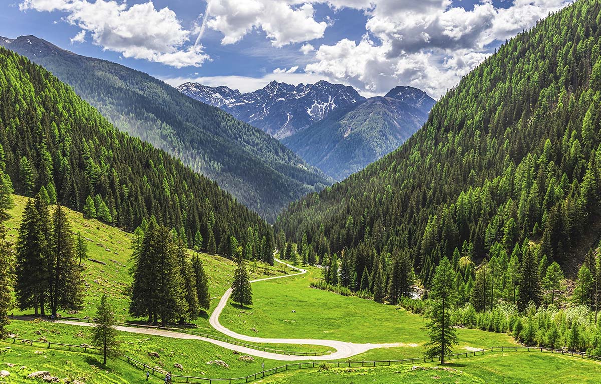 A winding road through a valley with trees and mountains