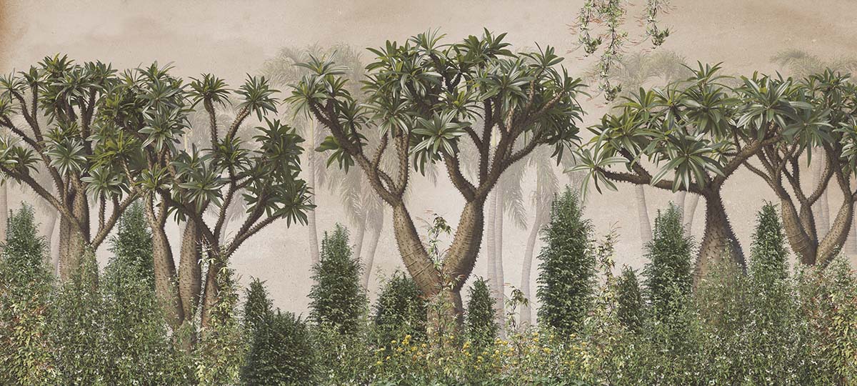 A group of trees and bushes