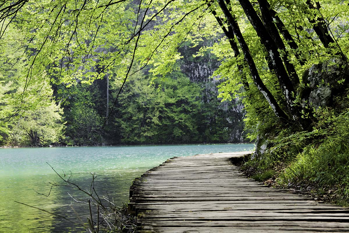 A wooden path leading to a body of water
