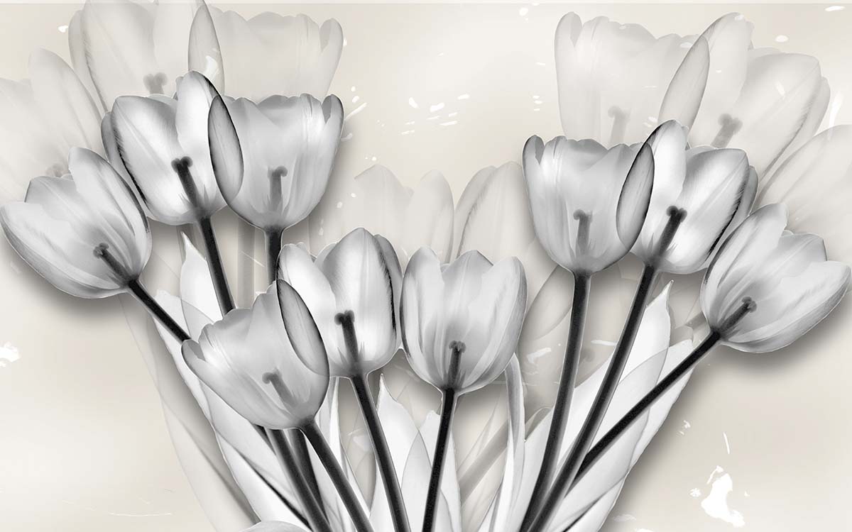 A group of white tulips