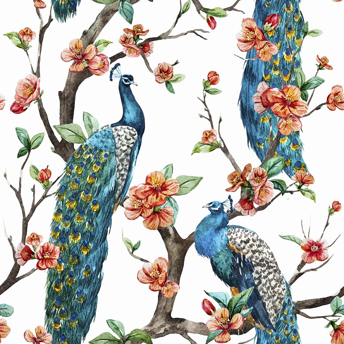 A watercolor peacocks and flowers