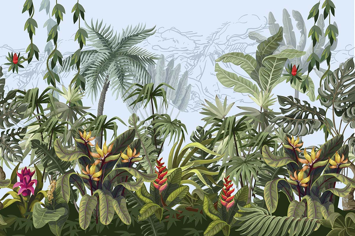 A group of tropical plants