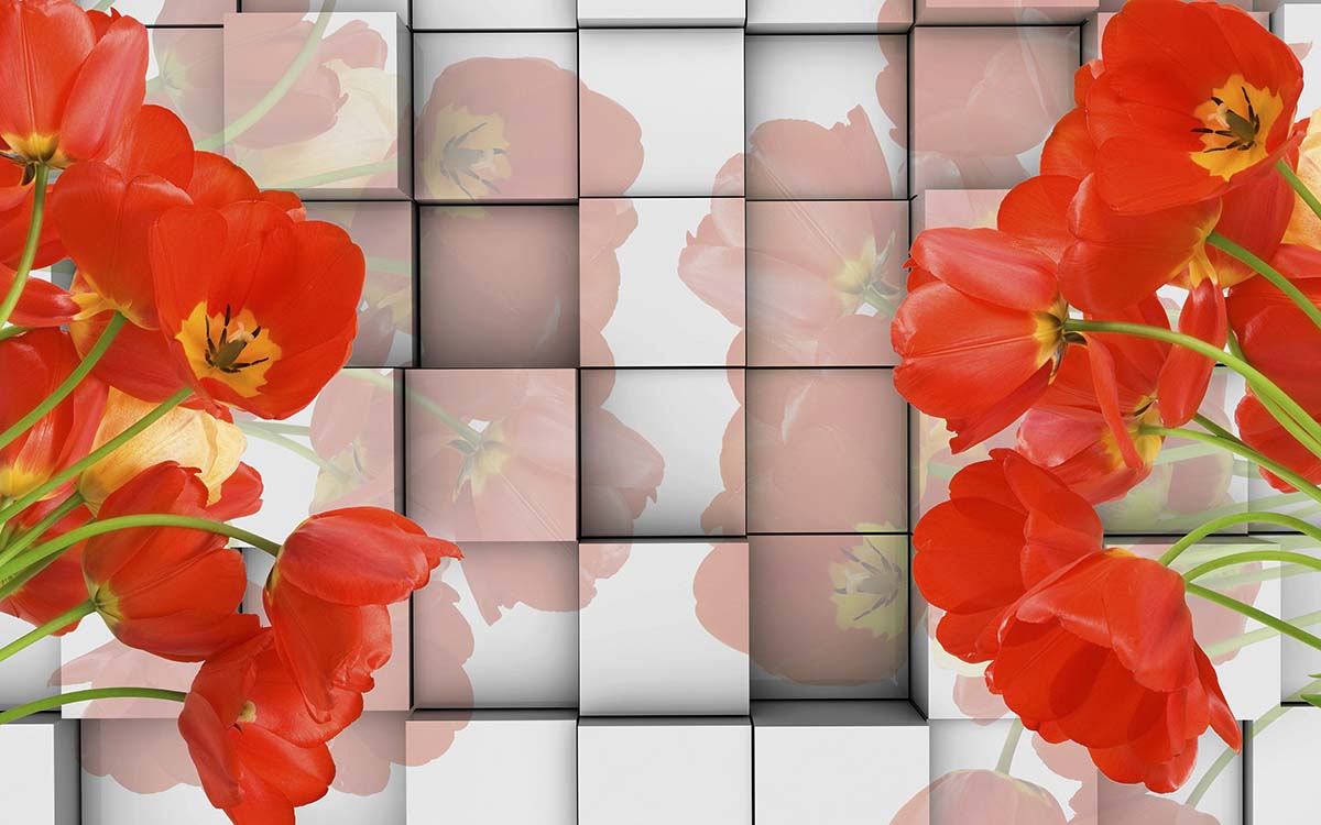 Red flowers on a wall