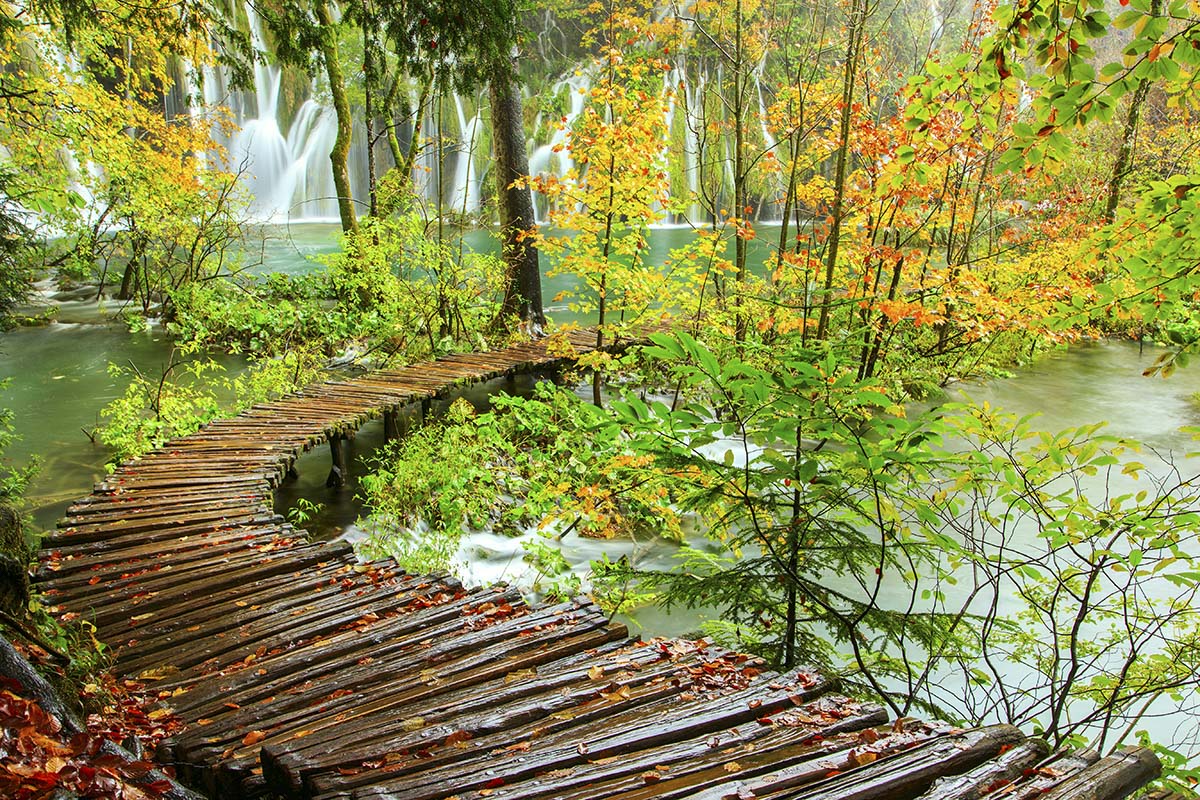A wooden bridge over water with trees and waterfalls