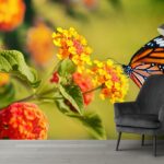 Beautiful Butterfly and Flower Wallpaper for Home