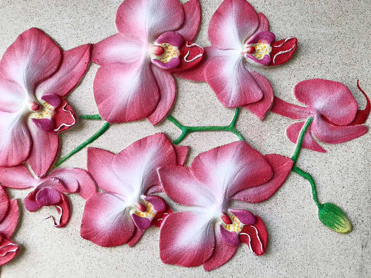 A group of pink and white flowers