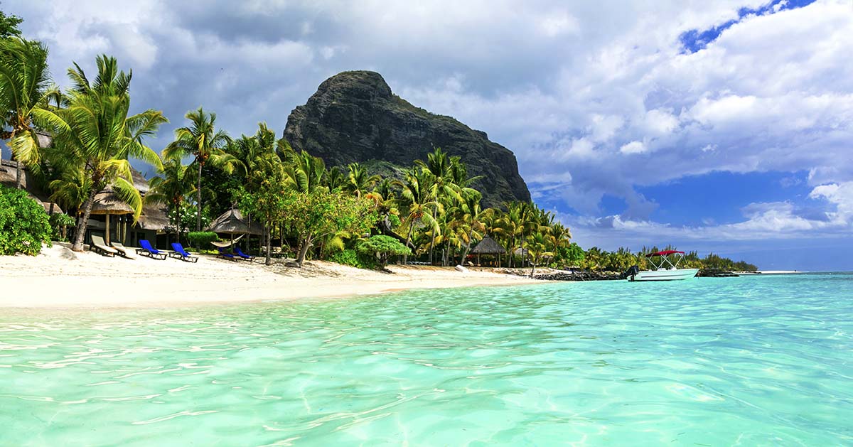 A beach with palm trees and a mountain in the background