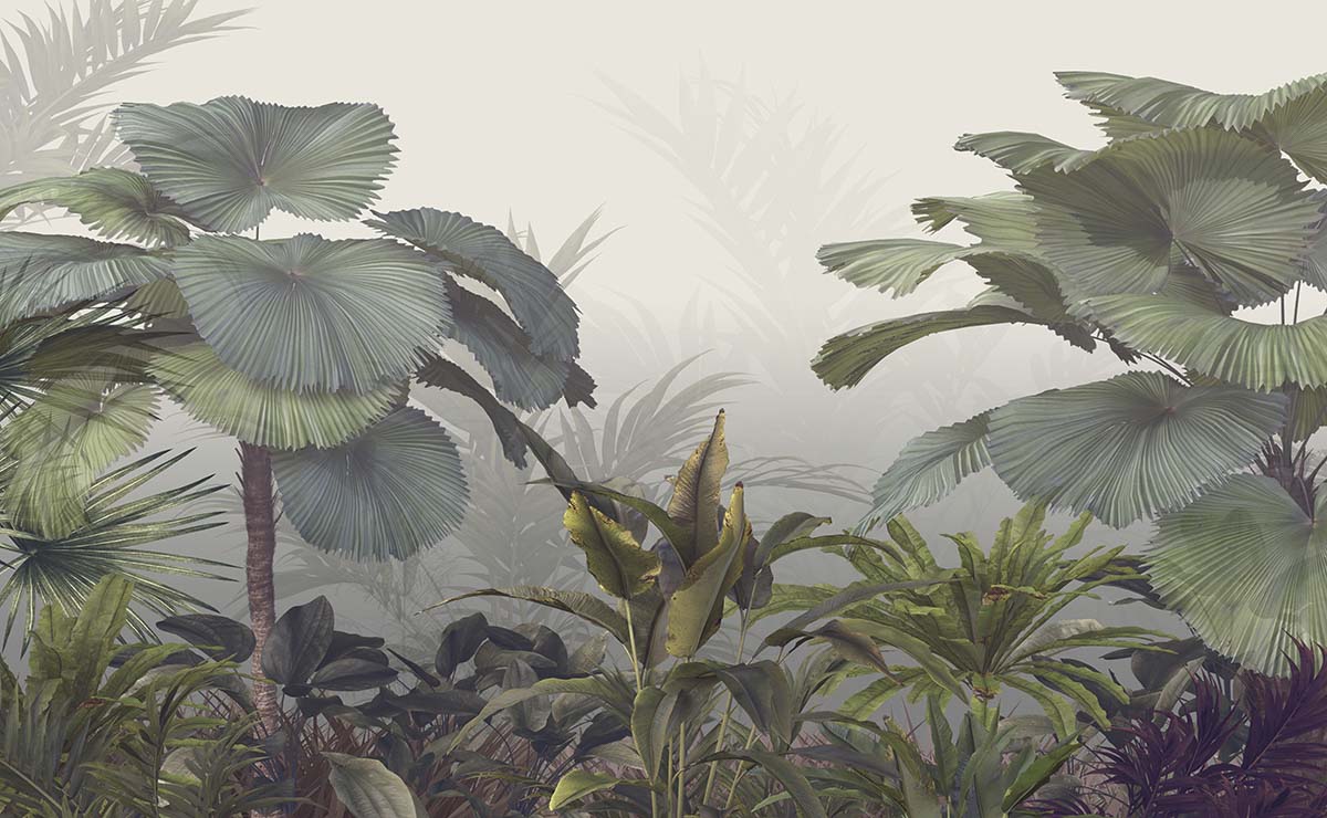 A group of plants in a foggy forest