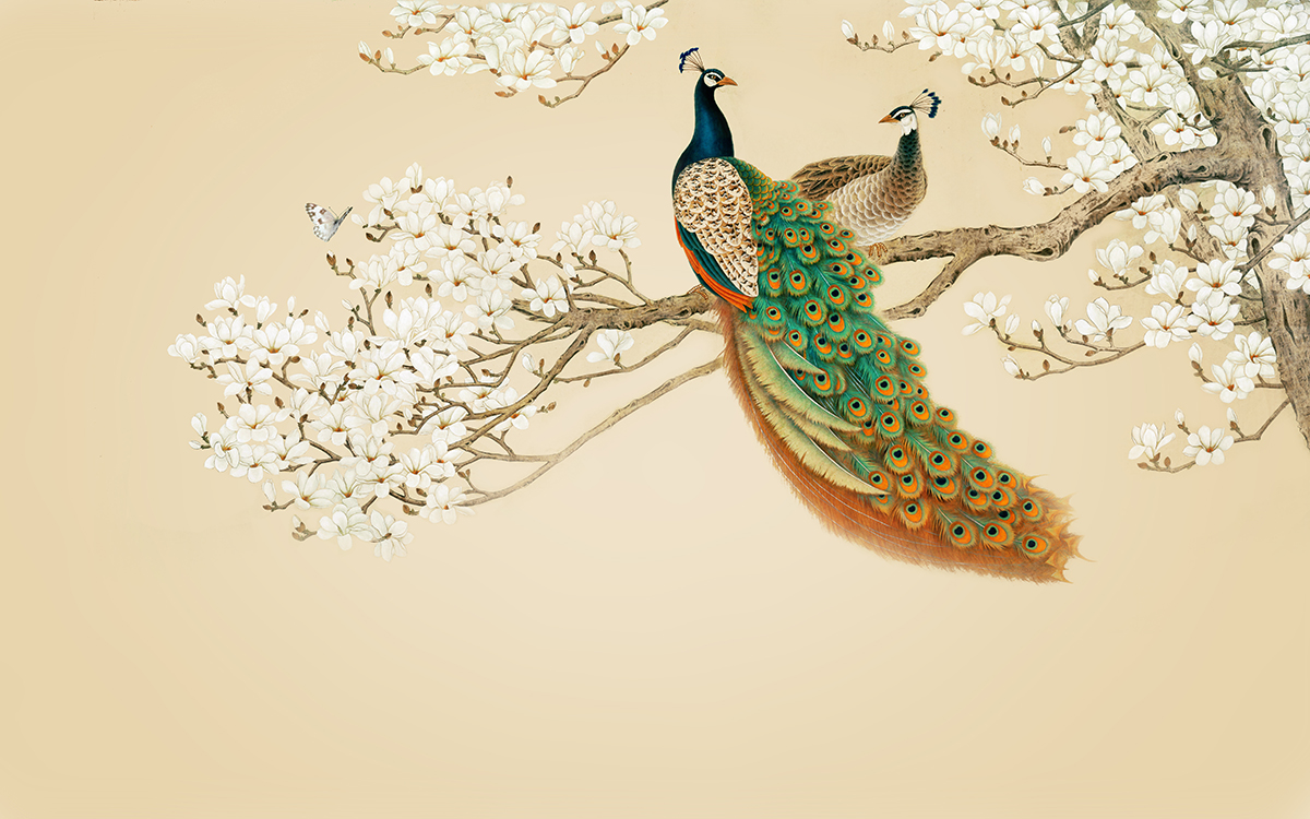A peacocks on a tree branch
