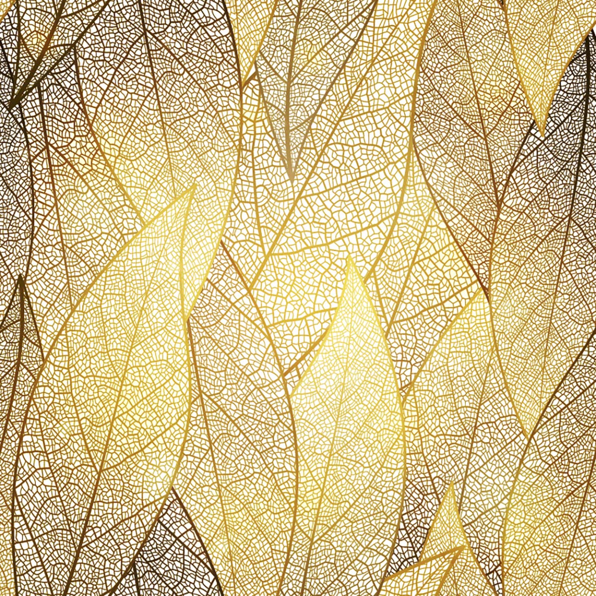 A close up of a leaf