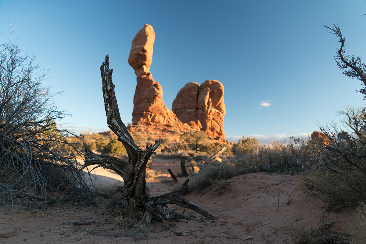 A rock formation in the desert