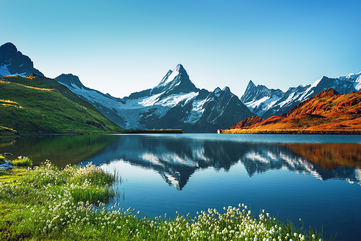 A lake with snow covered mountains and flowers