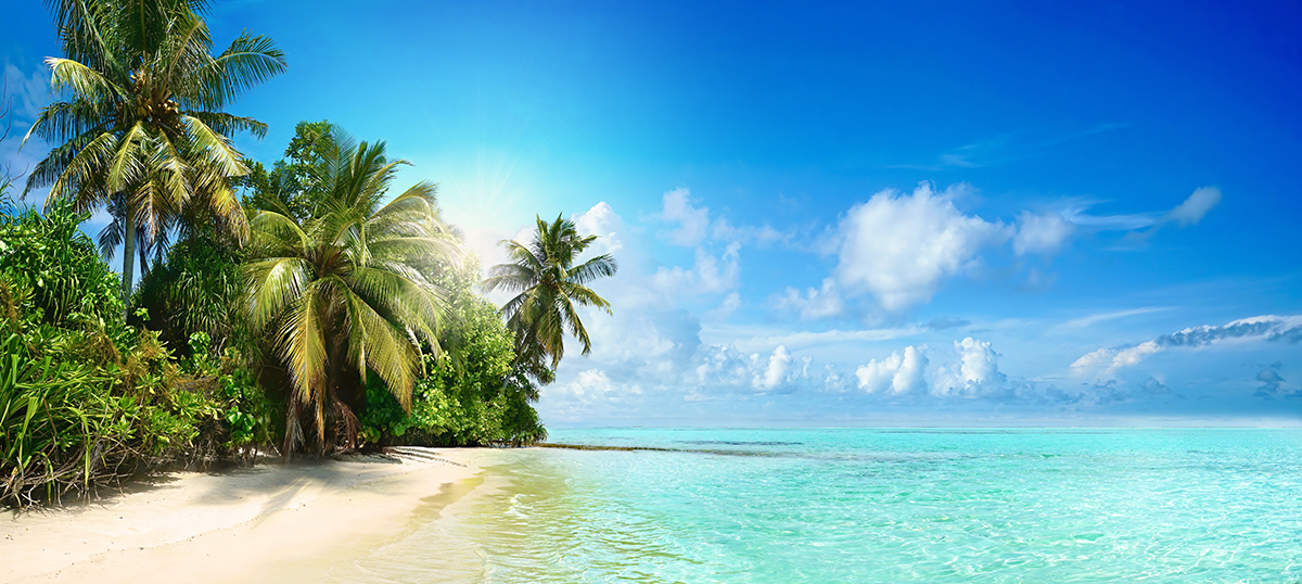 A beach with palm trees and blue water