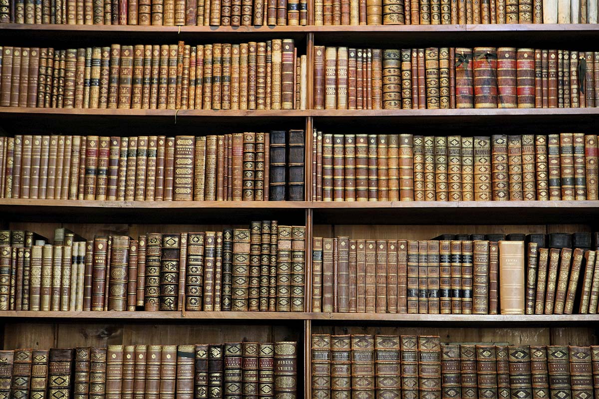 A large collection of books on a shelf
