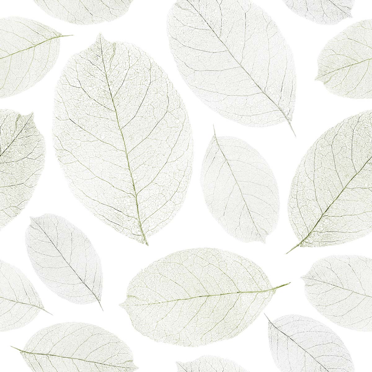 A group of white leaves