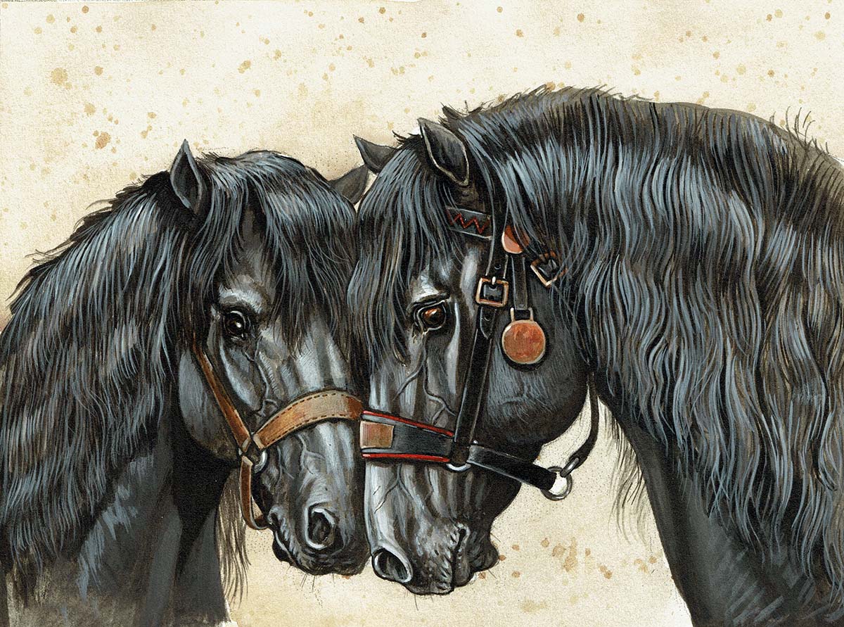 A close up of two horses