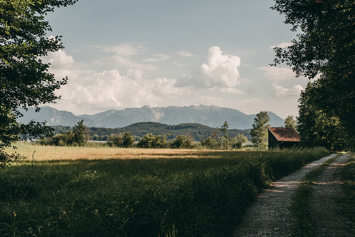 A path leading to a field with trees and mountains in the background