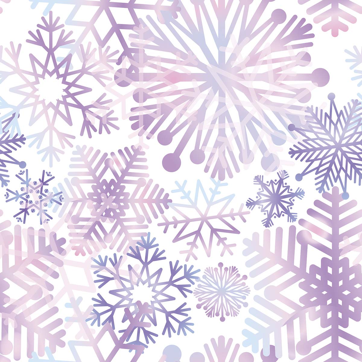 A group of snowflakes on a white background