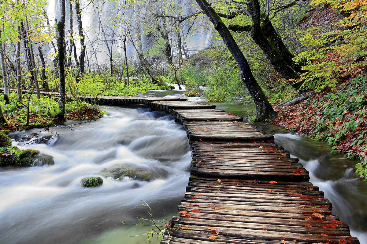 A wooden walkway over a river