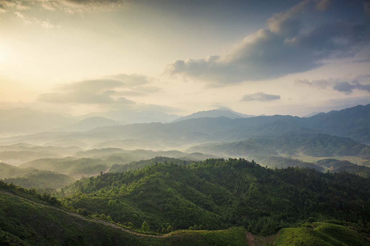 A landscape of a green mountain range