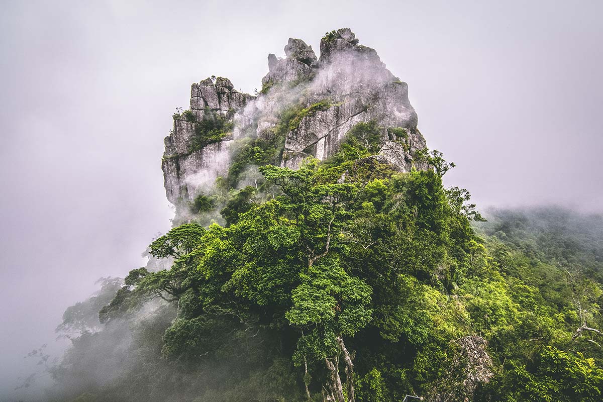 A mountain with trees and fog