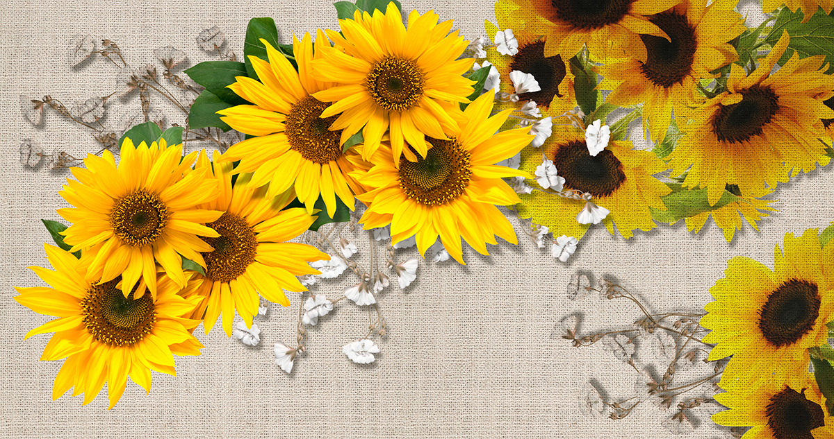 A group of sunflowers on a fabric surface